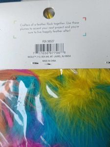 Decorative Feather