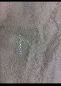 Coach Crossbody Bag