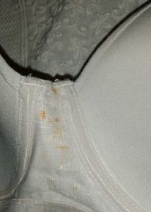 34a Padded Bra