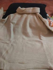 Stylish Turtleneck Sweater