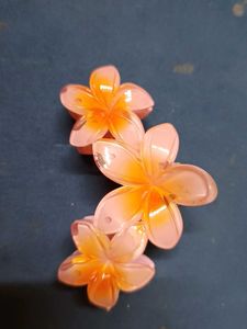 Hawaii Hair Claw Clip