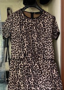 Fierce Leopard Print Dress-Dorothy Perkins
