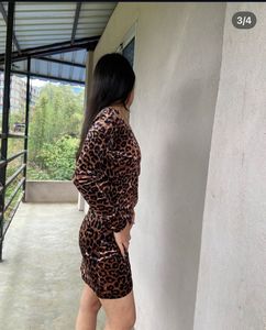 Leopard Print Mini Dress