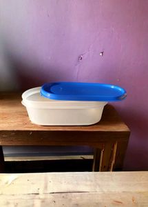 Mm Oval Storage Container