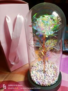 Flower Lamp 🛋️🪔
