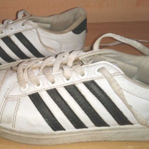 Sparx White Sneakers
