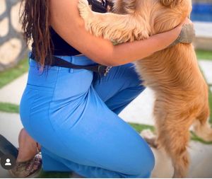 High Waist formal blue pants