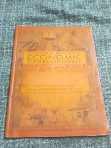 class 10 economics