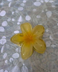 Floral Claw Clips