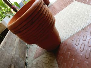Plant Pot (Pack Of 10 )