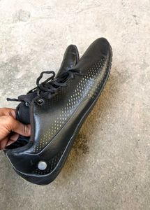 Puma Imported Luxury Shoes 👟