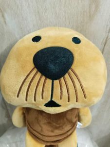 Soft Toy