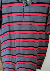 Collar Tshirt With Stripes