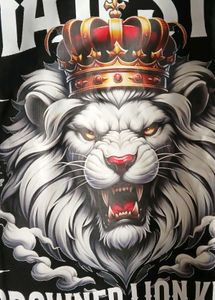 Anime Graphic Hoodie For Men