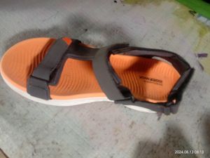 Original Sketchers