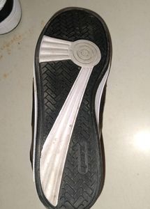 New Sparx Sneaker Shoes