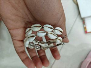 Cowrie Shell Earrings from Everstylish