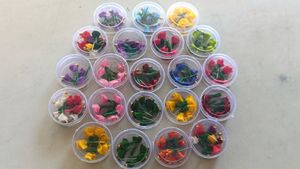 Hair Bun Pin Accessories (For 4 Boxes 60rs)