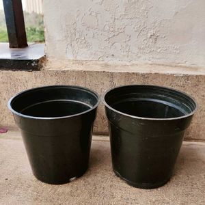Nursery Pots For Plants