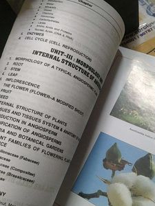 +2 Botany Class XI Textbook