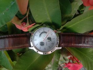 Men&#39;s Quartz Watch Brown Leather