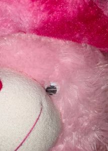 Teddy Bear Or Stuffed Toy