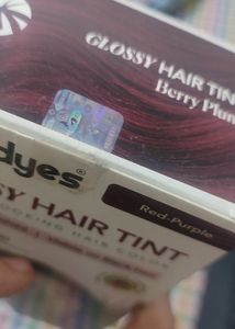 Paradyes Glossy Hair Tint- Berry Plum