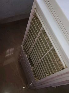 Sandy Cooler