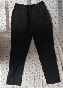 Tapered Pants