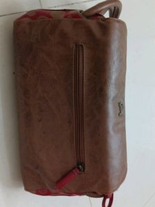 Baggit Handbag