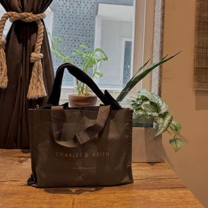 Charles &amp; Keith Knot Handle Bag