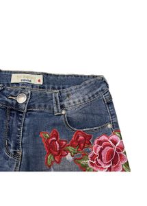 Denim Shorts with Floral Embroidery