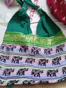 Green Polti Bag