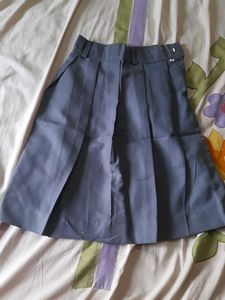 Pleated Blue Skirt