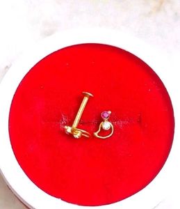 Beautiful New Parrot Desine Studs