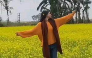 Exclusive Mustard Yellow Solid Pullover