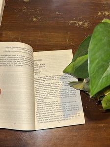 101 Essays That Will Change You