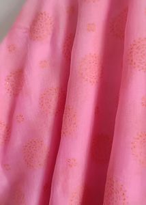 Avaasa Pink Gown Set. No Flaws