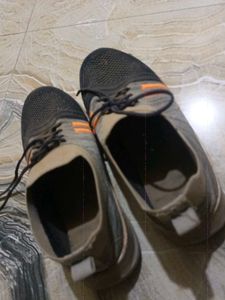 Sport Shoes 👞