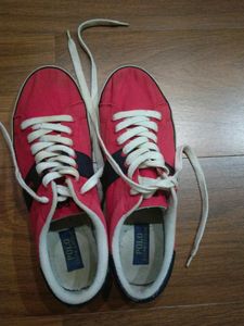 POLO Brand shoes