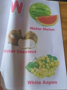 A to Z Fruit Pictionary Book
