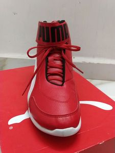 PUMA FERRARI EDITION SHOE