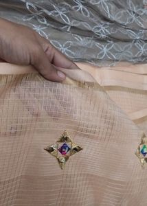 Elegant Lehenga Choli Set