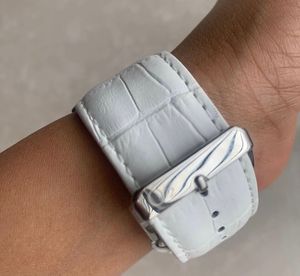 Brand New Aldo watch