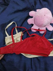 34 B Size