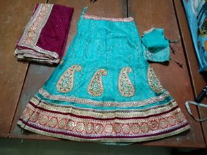 Lehnga Choli Multicolour