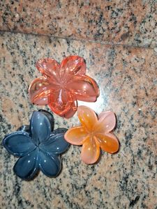Flower Hair Clips (Set of 3)