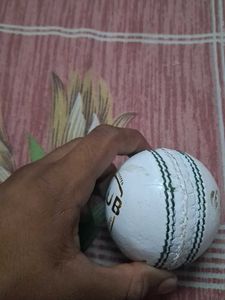a cricket ball club level for professional