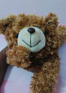 Teddy 🧸