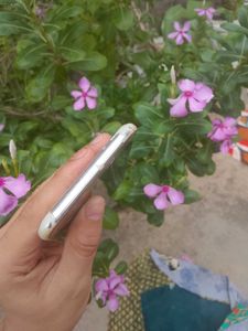 Need Display, Battery